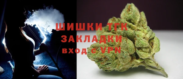 шишки Осташков