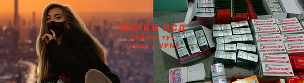 шишки Осташков