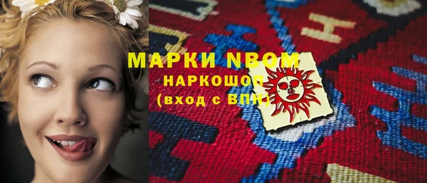 шишки Осташков