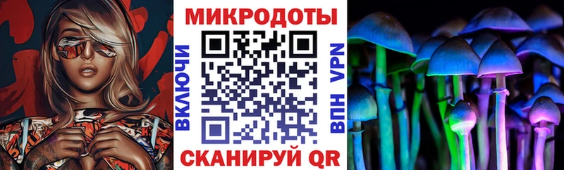 Псилоцибиновые грибы мицелий  нарко площадка какой сайт  Дубовка 