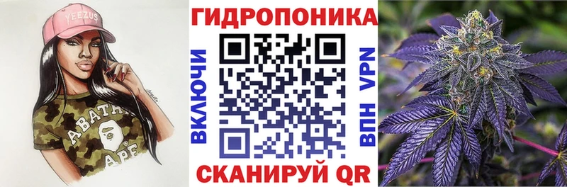 Бошки марихуана Ganja Дубовка